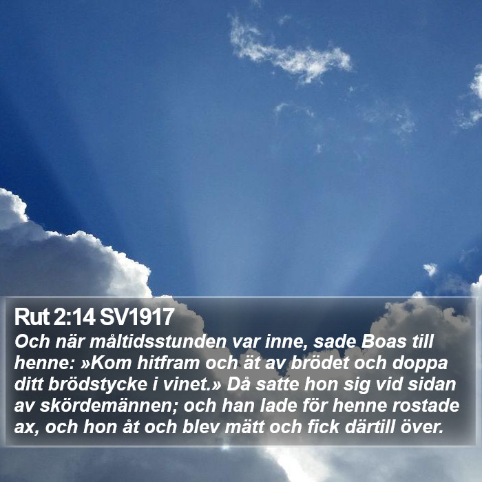 Rut 2:14 SV1917 Bible Study