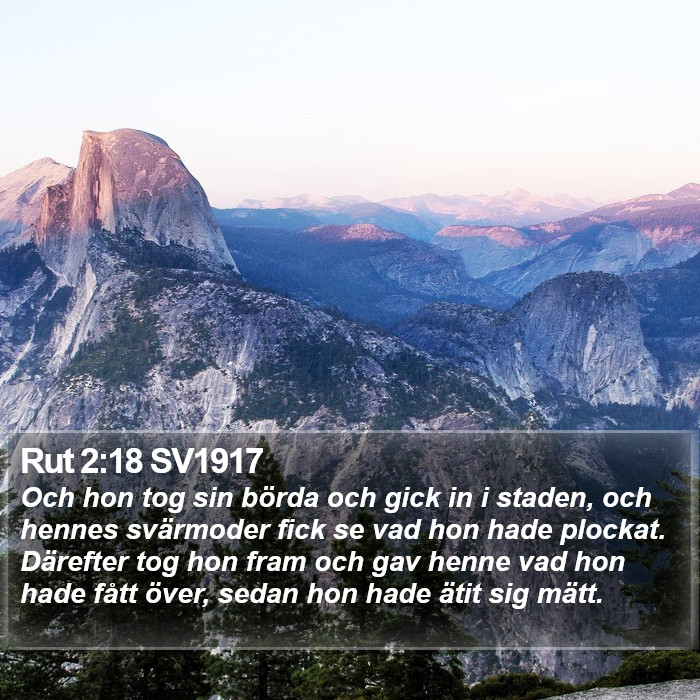 Rut 2:18 SV1917 Bible Study