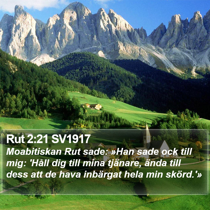 Rut 2:21 SV1917 Bible Study