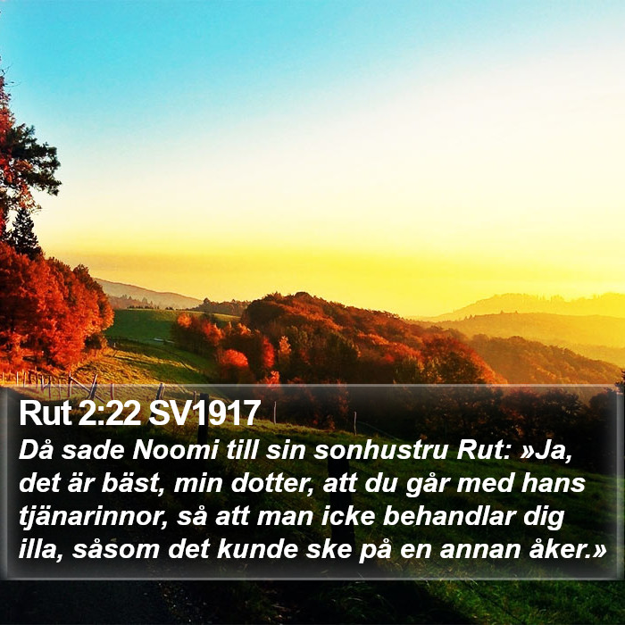 Rut 2:22 SV1917 Bible Study