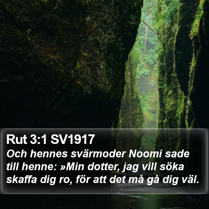 Rut 3:1 SV1917 Bible Study