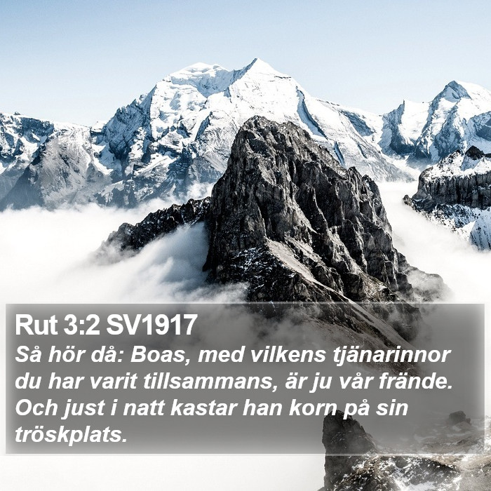 Rut 3:2 SV1917 Bible Study