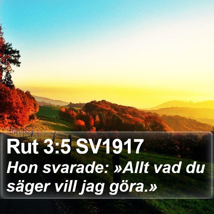 Rut 3:5 SV1917 Bible Study