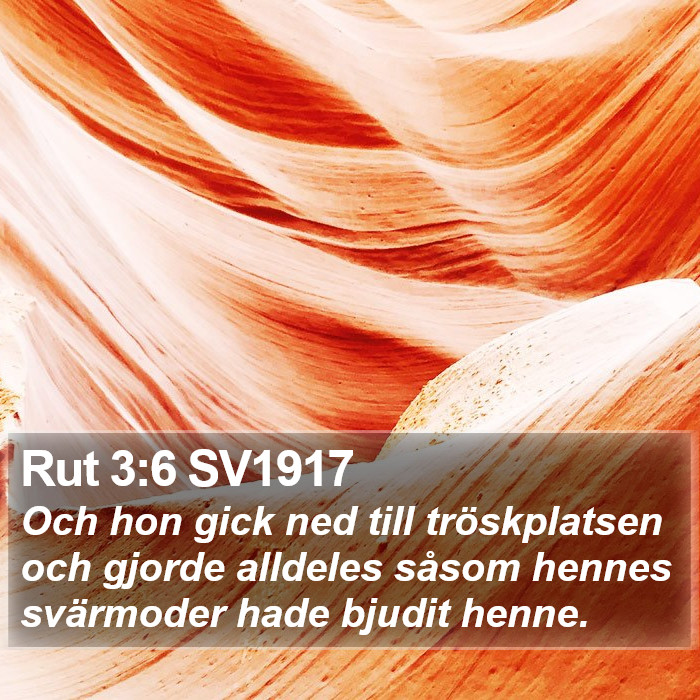 Rut 3:6 SV1917 Bible Study