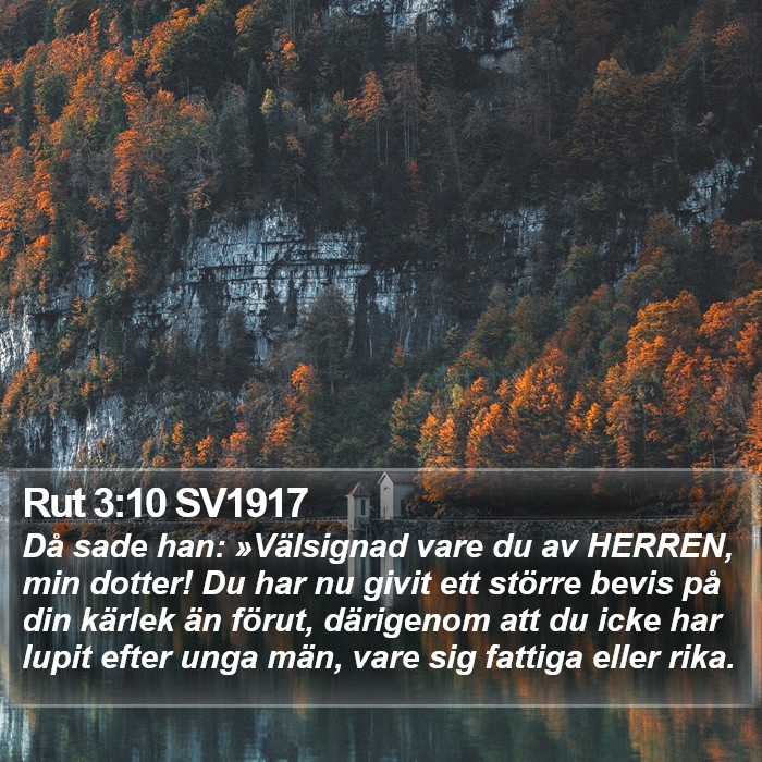 Rut 3:10 SV1917 Bible Study