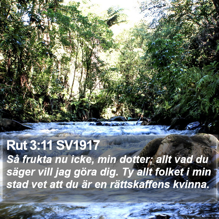 Rut 3:11 SV1917 Bible Study