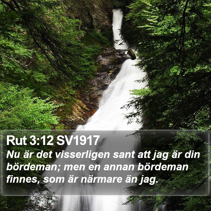 Rut 3:12 SV1917 Bible Study