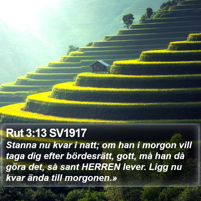 Rut 3:13 SV1917 Bible Study