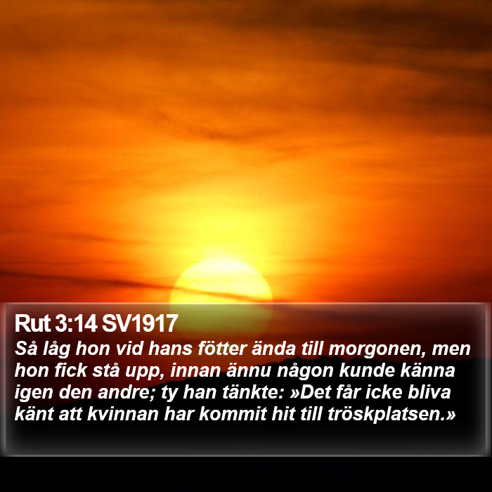 Rut 3:14 SV1917 Bible Study