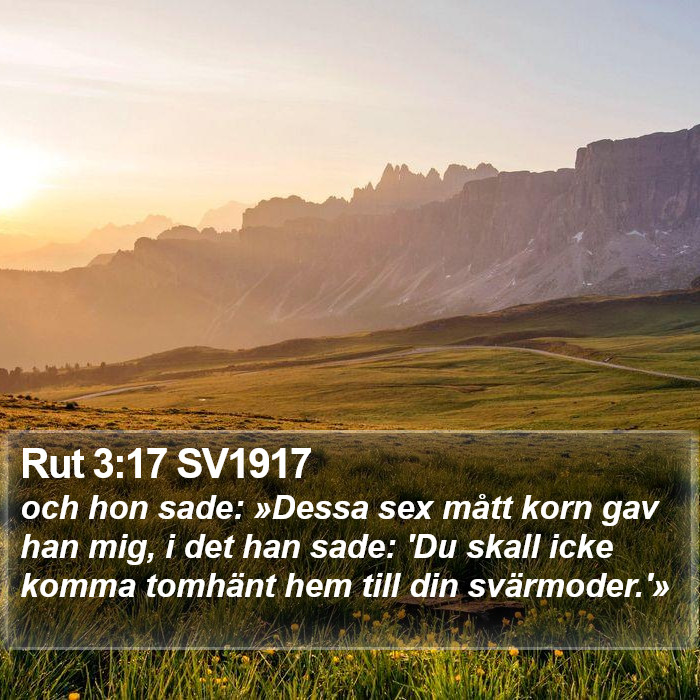 Rut 3:17 SV1917 Bible Study