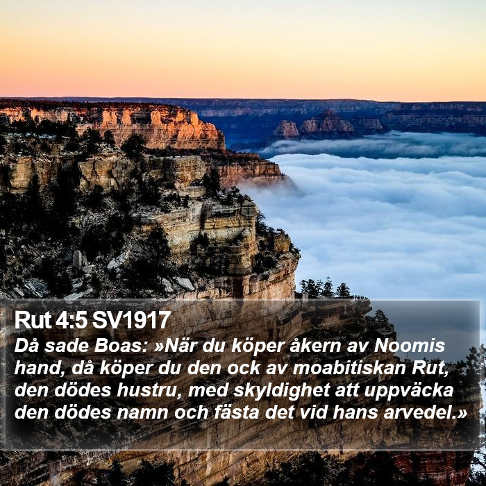 Rut 4:5 SV1917 Bible Study