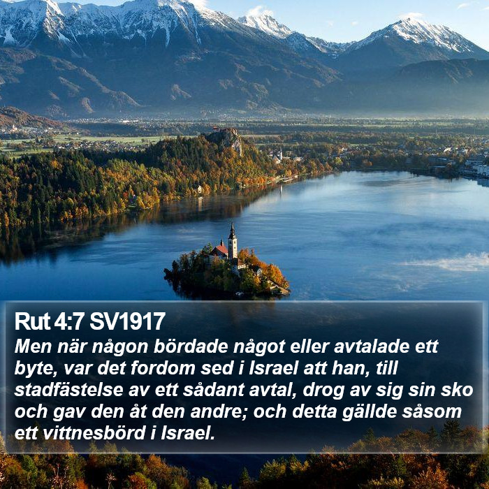 Rut 4:7 SV1917 Bible Study