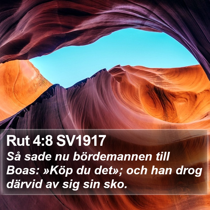 Rut 4:8 SV1917 Bible Study