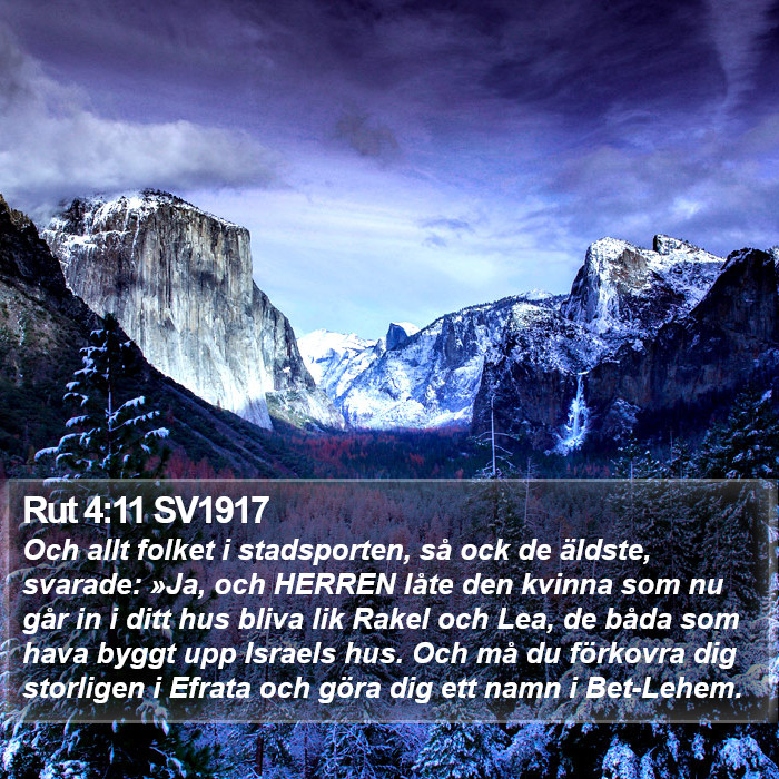 Rut 4:11 SV1917 Bible Study