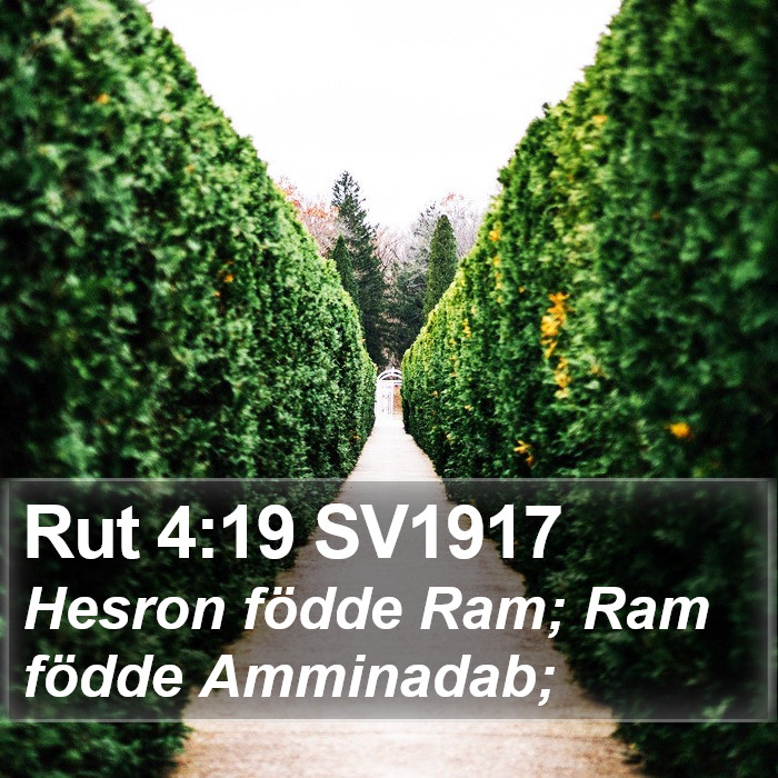 Rut 4:19 SV1917 Bible Study