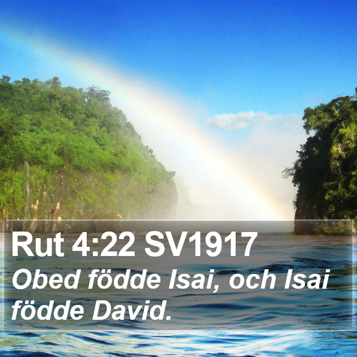 Rut 4:22 SV1917 Bible Study