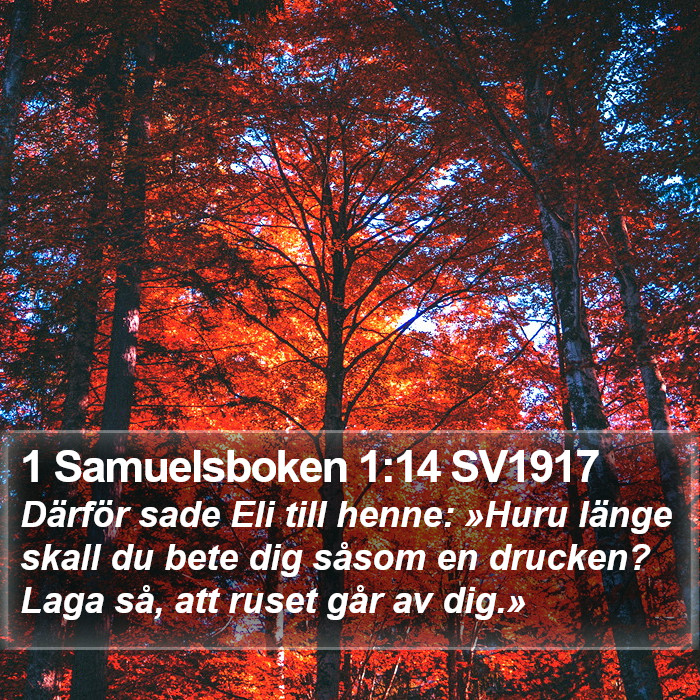 1 Samuelsboken 1:14 SV1917 Bible Study