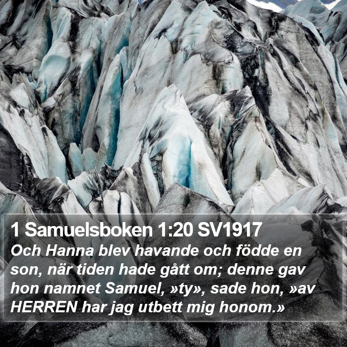 1 Samuelsboken 1:20 SV1917 Bible Study