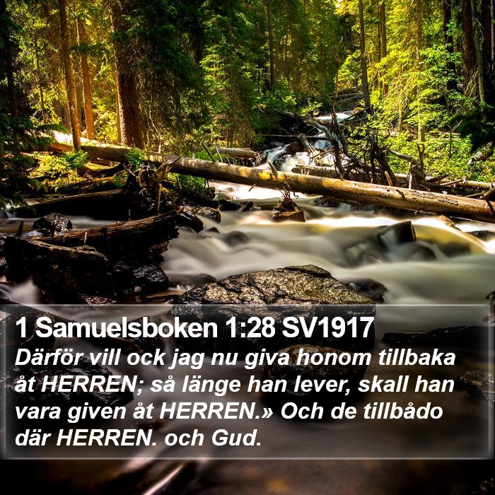 1 Samuelsboken 1:28 SV1917 Bible Study