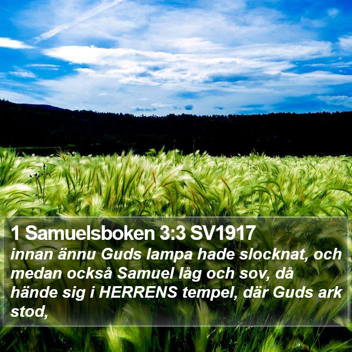 1 Samuelsboken 3:3 SV1917 Bible Study