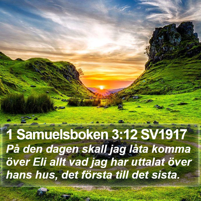 1 Samuelsboken 3:12 SV1917 Bible Study