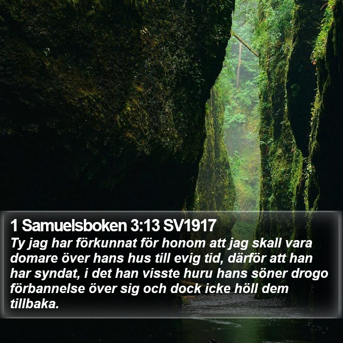 1 Samuelsboken 3:13 SV1917 Bible Study