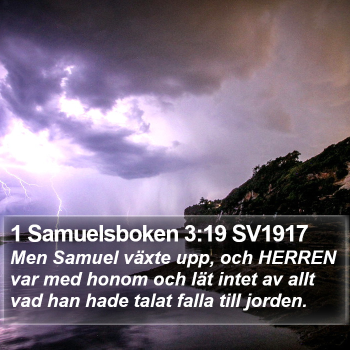 1 Samuelsboken 3:19 SV1917 Bible Study