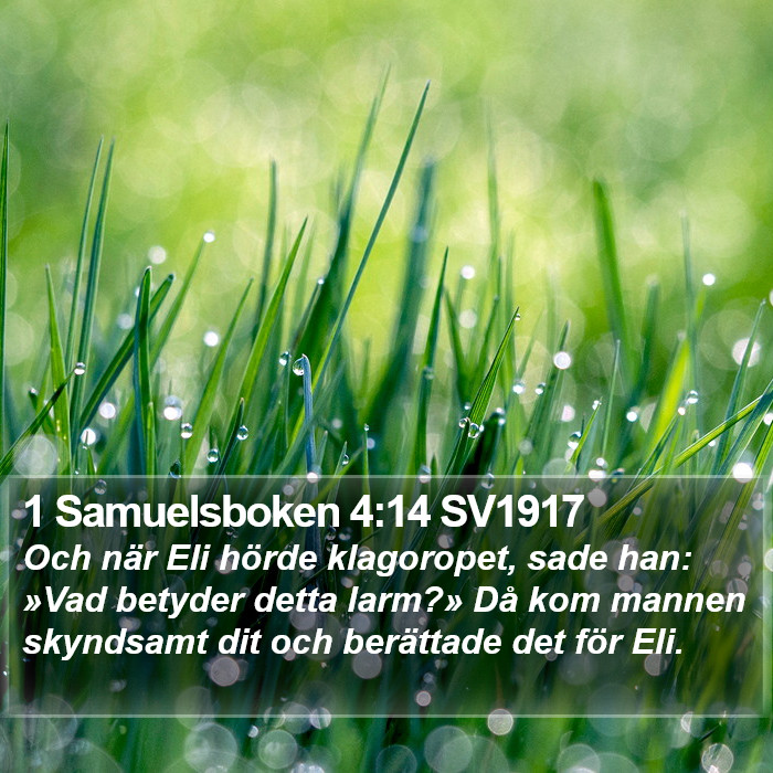 1 Samuelsboken 4:14 SV1917 Bible Study