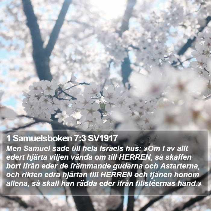 1 Samuelsboken 7:3 SV1917 Bible Study