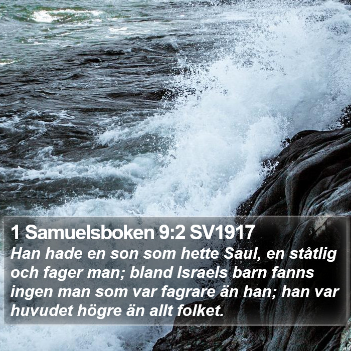 1 Samuelsboken 9:2 SV1917 Bible Study