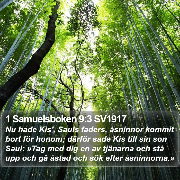 1 Samuelsboken 9:3 SV1917 Bible Study