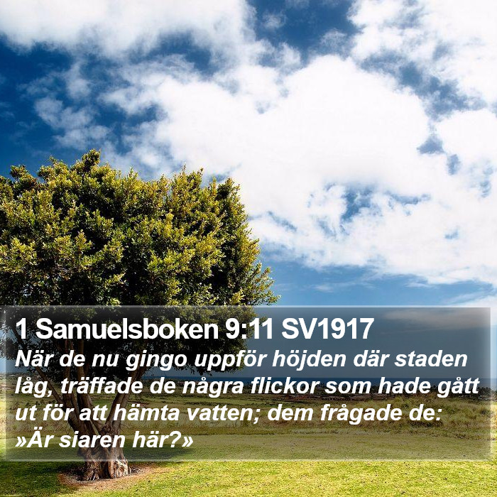 1 Samuelsboken 9:11 SV1917 Bible Study