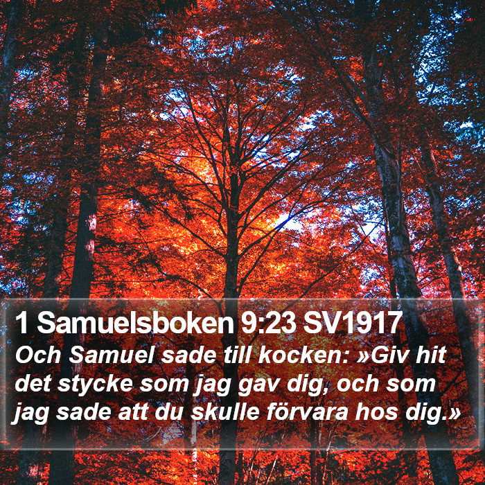 1 Samuelsboken 9:23 SV1917 Bible Study