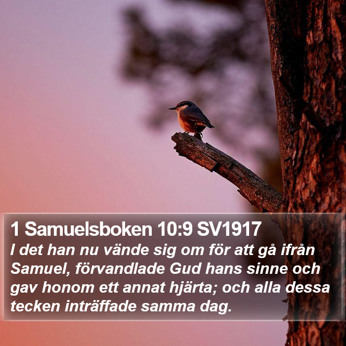 1 Samuelsboken 10:9 SV1917 Bible Study