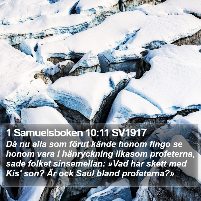 1 Samuelsboken 10:11 SV1917 Bible Study