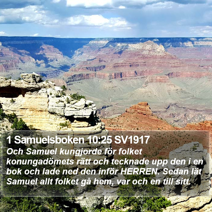 1 Samuelsboken 10:25 SV1917 Bible Study