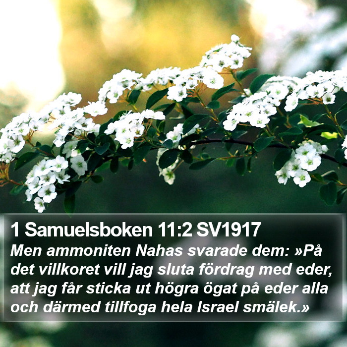 1 Samuelsboken 11:2 SV1917 Bible Study