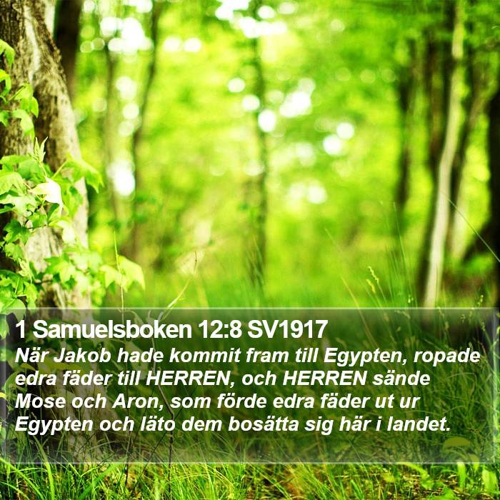 1 Samuelsboken 12:8 SV1917 Bible Study