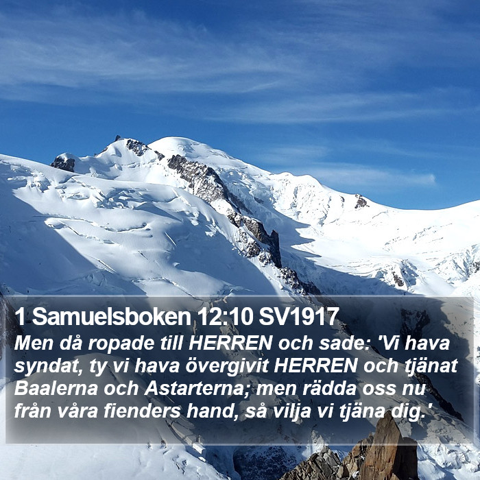 1 Samuelsboken 12:10 SV1917 Bible Study