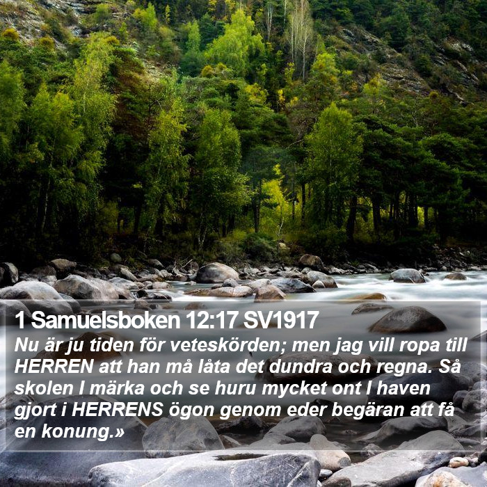 1 Samuelsboken 12:17 SV1917 Bible Study