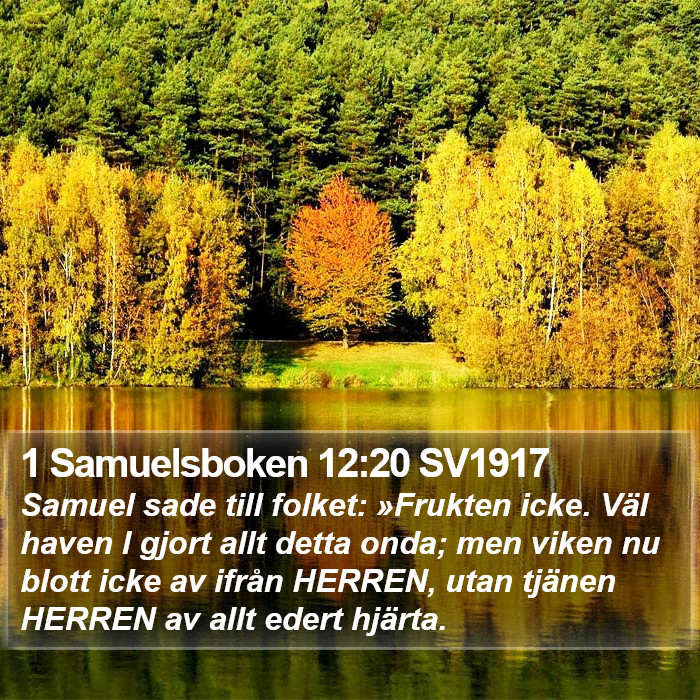 1 Samuelsboken 12:20 SV1917 Bible Study