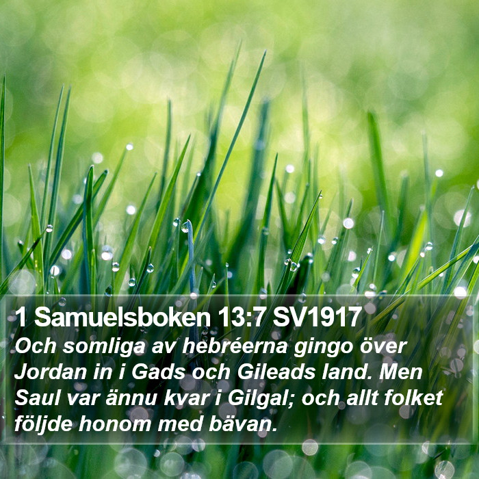 1 Samuelsboken 13:7 SV1917 Bible Study