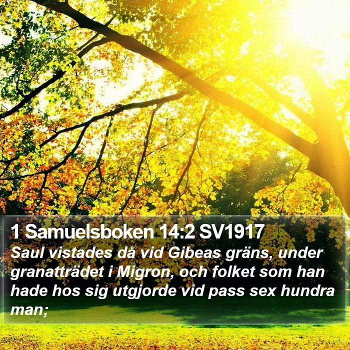 1 Samuelsboken 14:2 SV1917 Bible Study