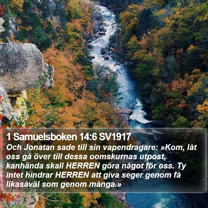 1 Samuelsboken 14:6 SV1917 Bible Study