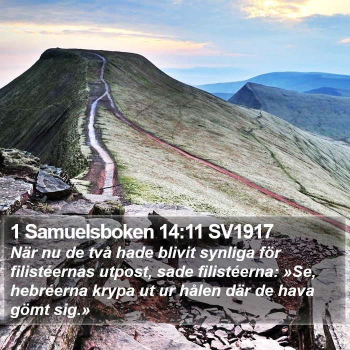 1 Samuelsboken 14:11 SV1917 Bible Study