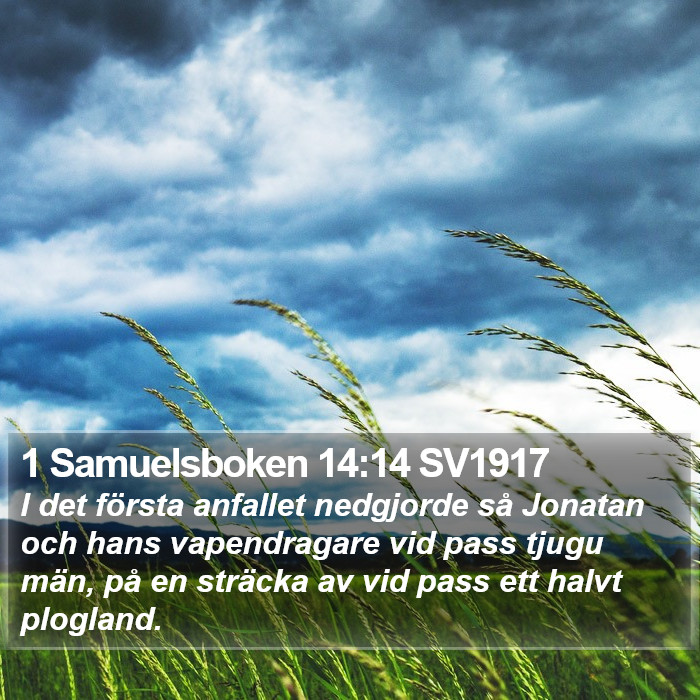 1 Samuelsboken 14:14 SV1917 Bible Study