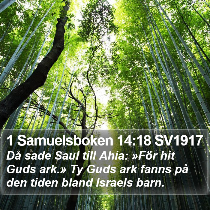 1 Samuelsboken 14:18 SV1917 Bible Study