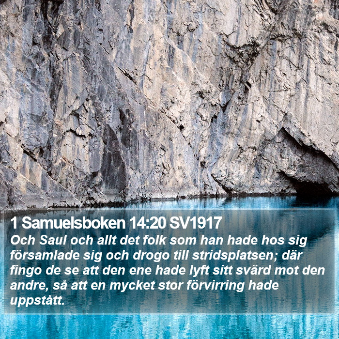 1 Samuelsboken 14:20 SV1917 Bible Study