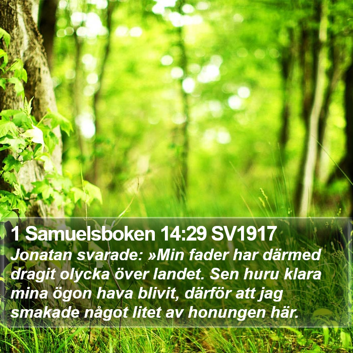 1 Samuelsboken 14:29 SV1917 Bible Study