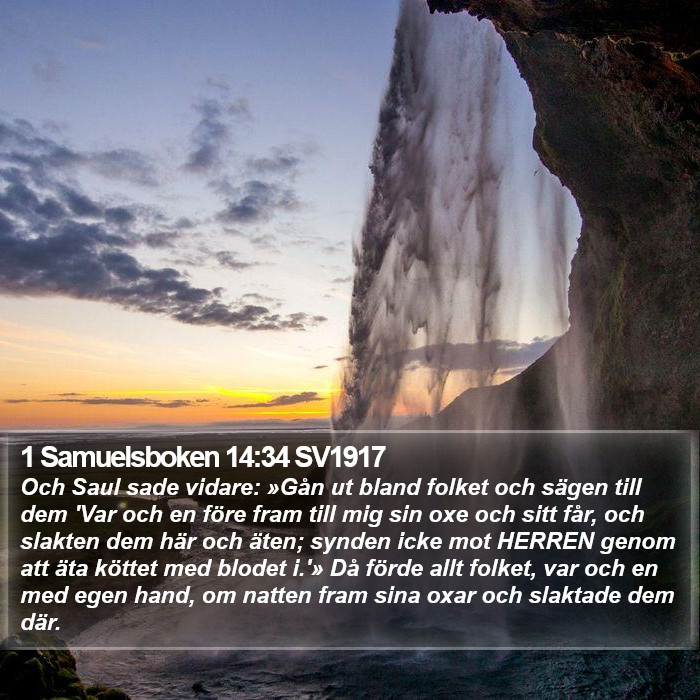 1 Samuelsboken 14:34 SV1917 Bible Study